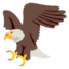:eagle: π¦