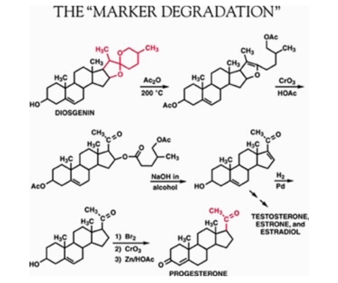 31ce4d31-9ec9-43fc-a167-15ff4565e339-The Marker Degradation Diagram.png