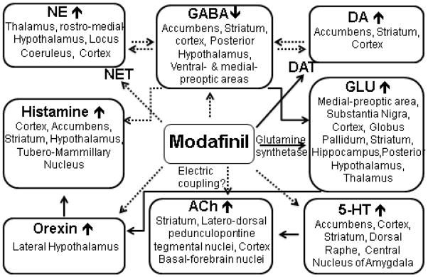 Modafinil_MoA_nihms514612f2.jpg