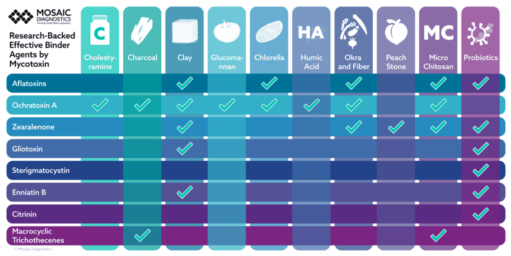 MDX_Binders-Guide_Chart-1024x513.png