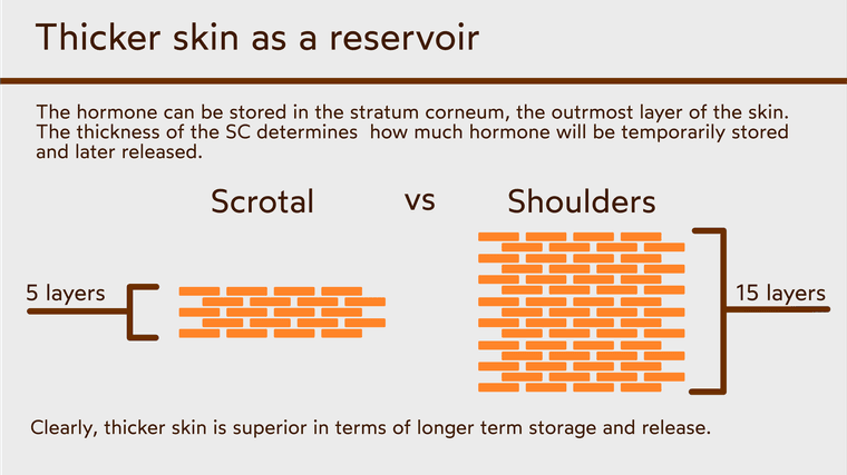 reservoir skin.png