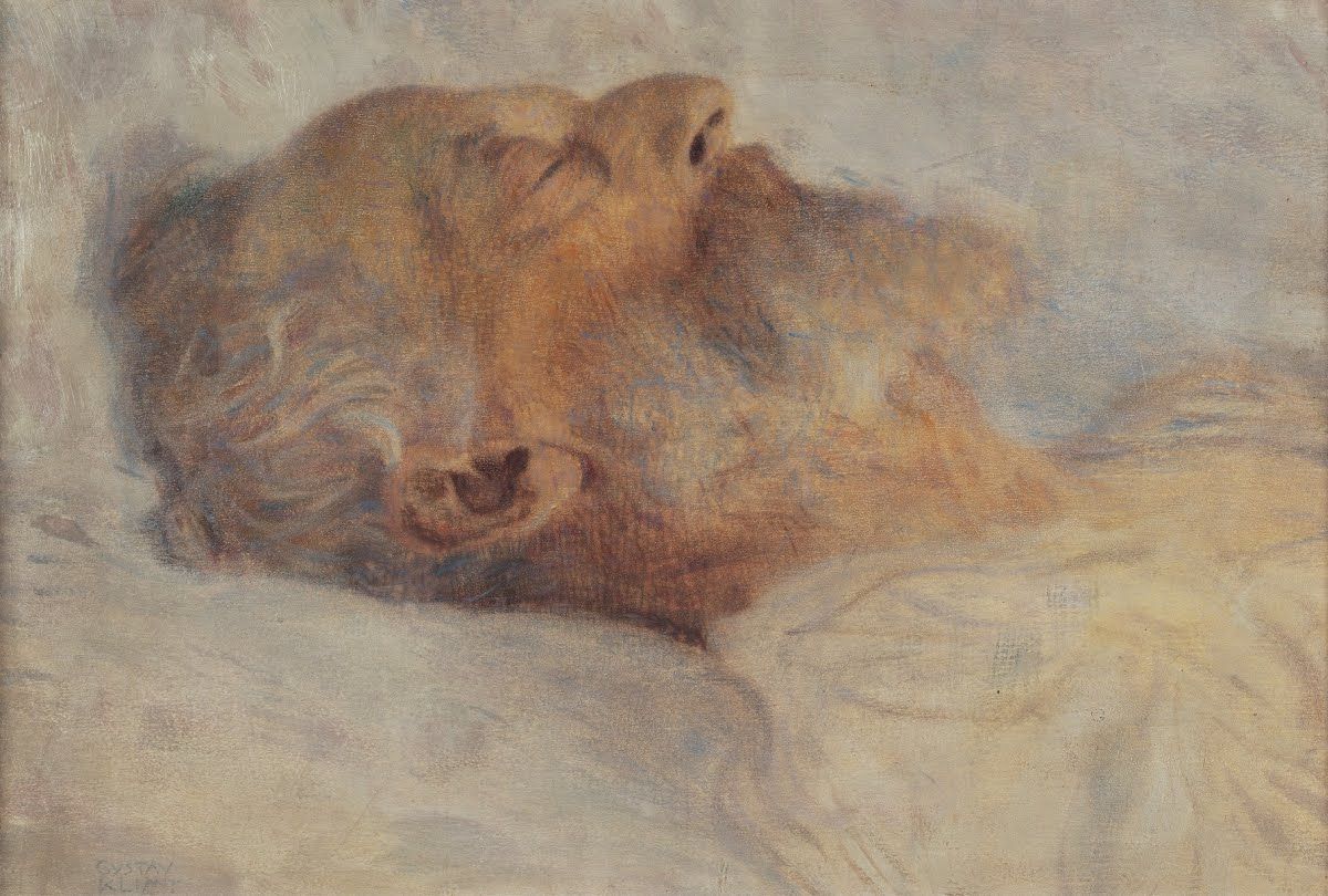 5c421f9c-a29a-4255-a01b-eac999c0658e-Gustav Klimt- Old Man on His Death Bed.jpg