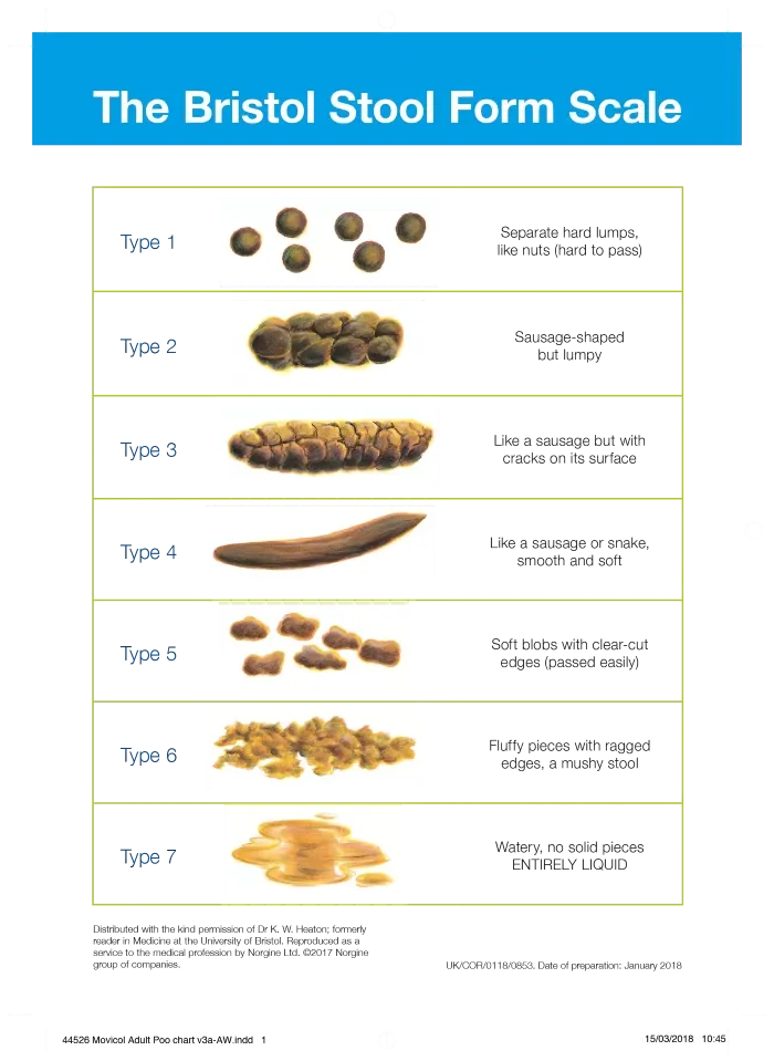 401cb0a1-a72e-425b-bcd7-855b264944b7-Bristol_stool_chart_fin.png.webp