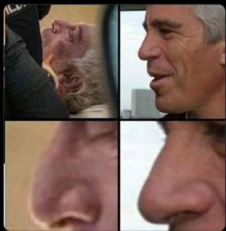 Epstein Alive.jpeg