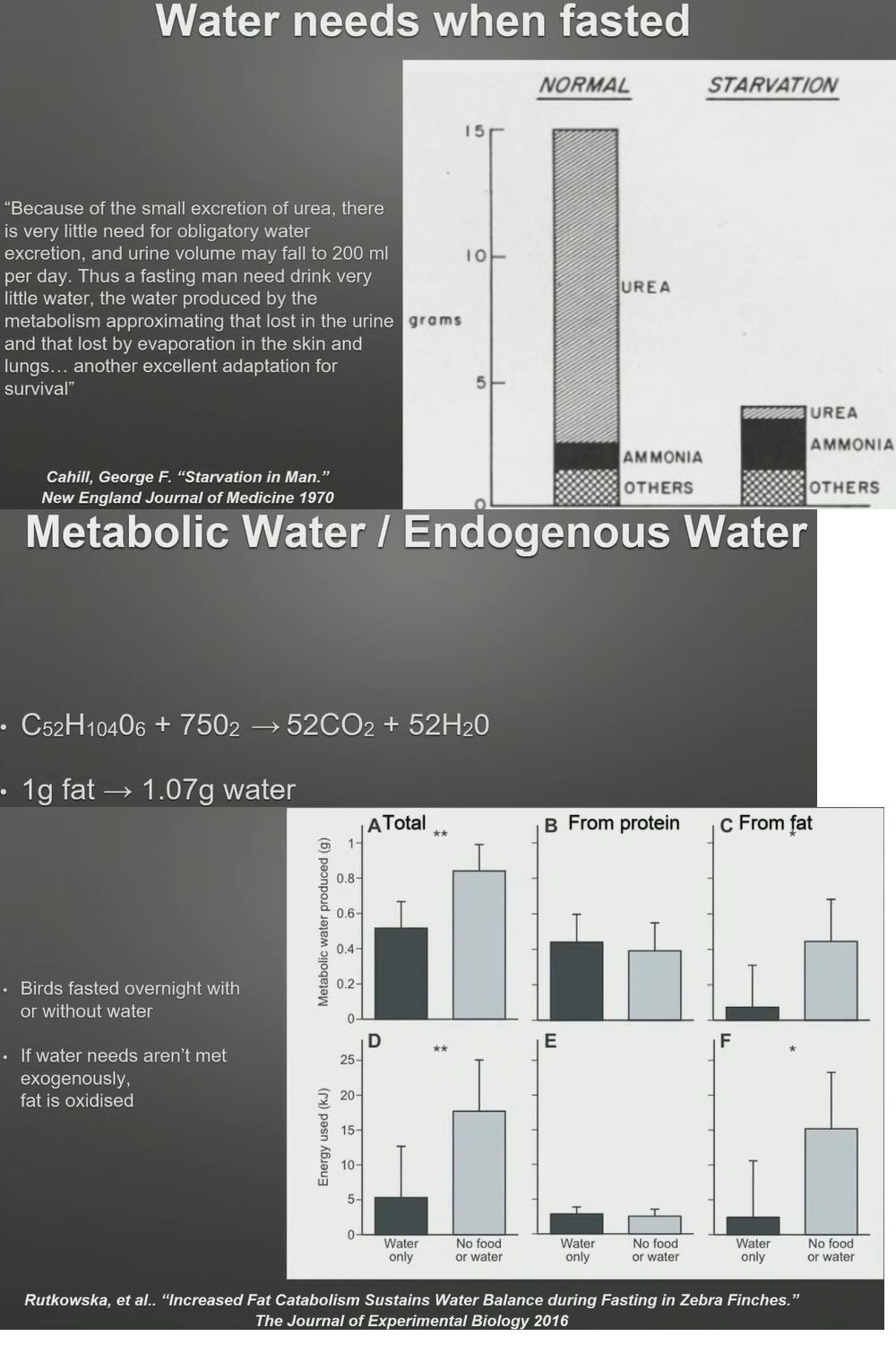 Metabolic Water 1.jpg