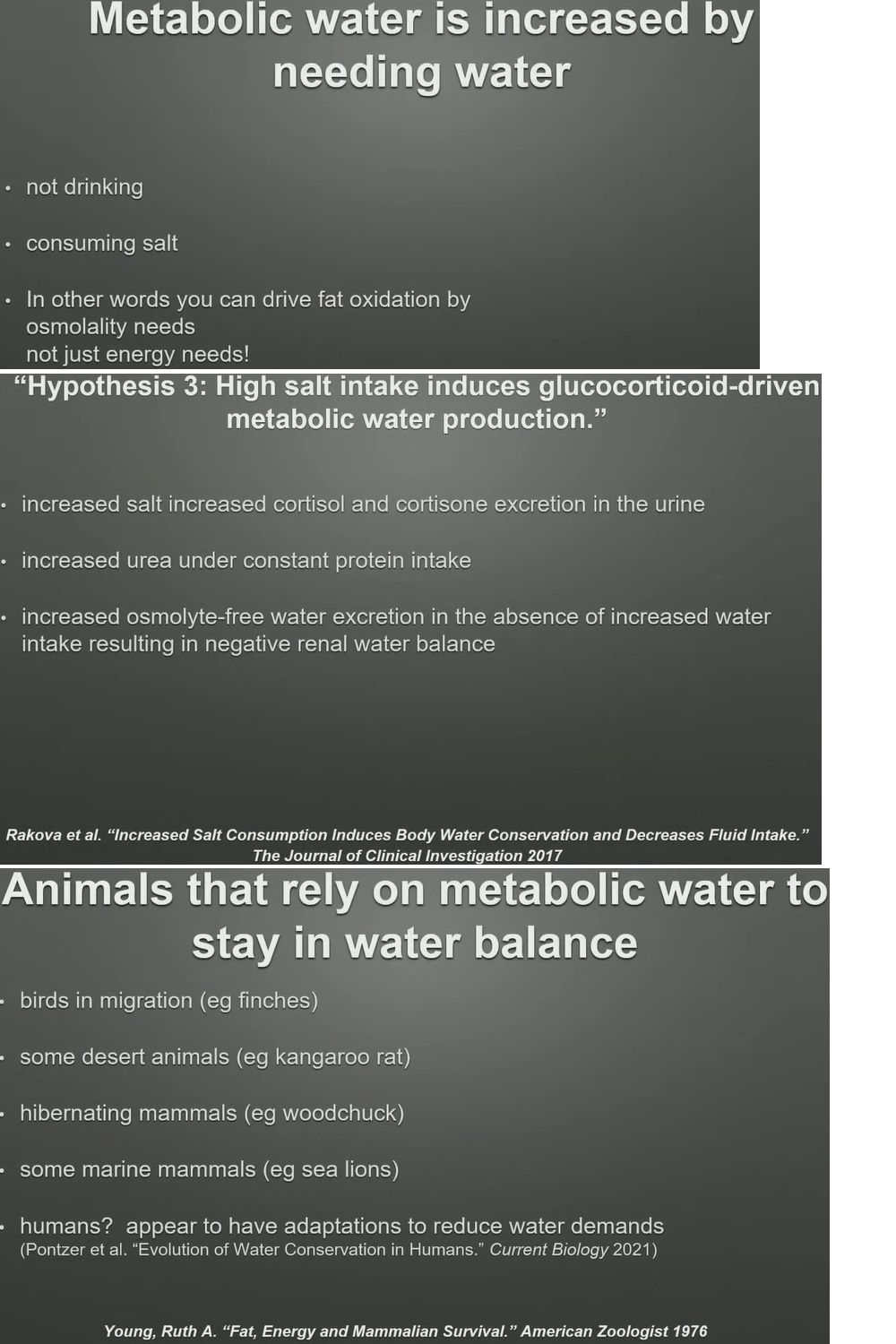 Metabolic Water 2.jpg