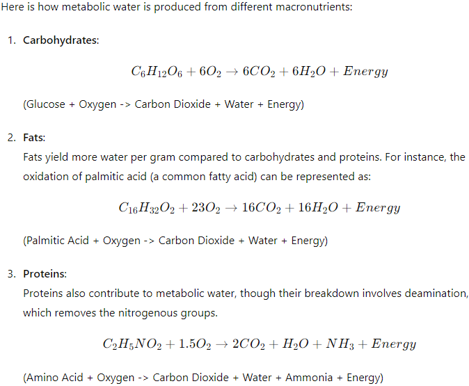 Metabolic Water 1.png