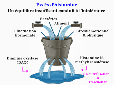 Histamine seau percé.png
