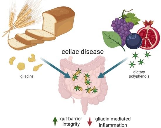 gliadin gluten sequestration by EGCG.jpg