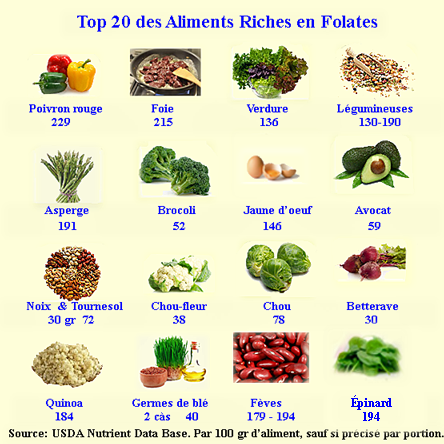 Folate rich-foods.png