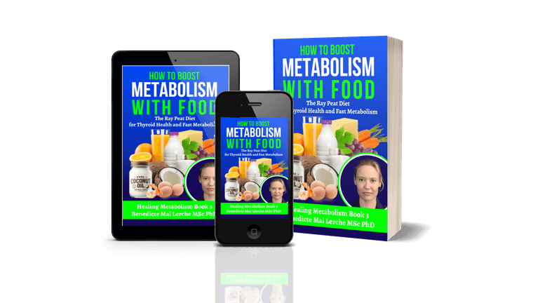 ray-peat-diet-book-how-to-boost-metabolism-with-food.png