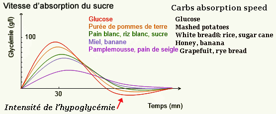 1. Carbs absorption speed. Food. translated.png