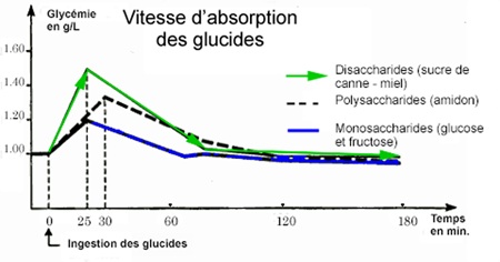 2. Carbs absorption speed. Sugars types.png