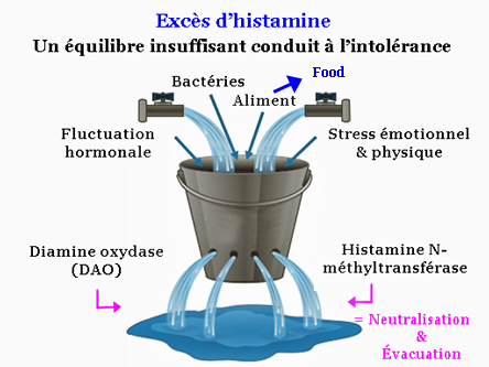 histamin bucket. Histamine seau.png