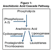 4 AA cascade.gif