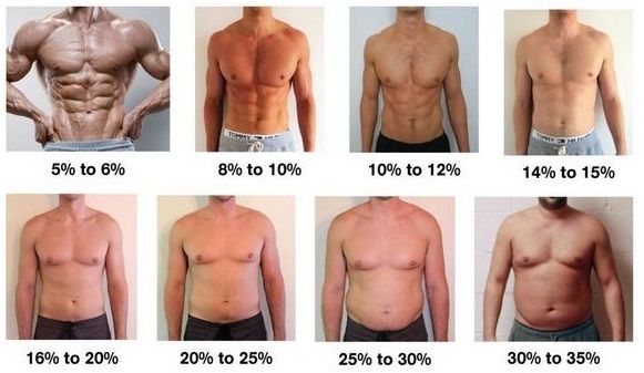 body-fat-percentage-examples.jpg