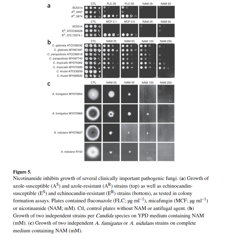 d62cd328-4a89-4528-914f-723cd068dd3a-image.png