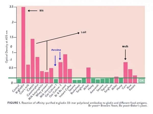 Wheat Wga immune reaction..jpg