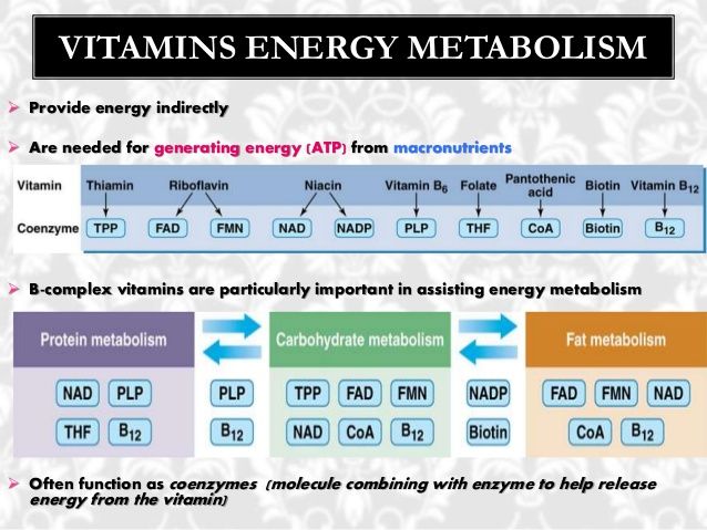 Vit B complex & enzymes as cofactors for energy.jpg