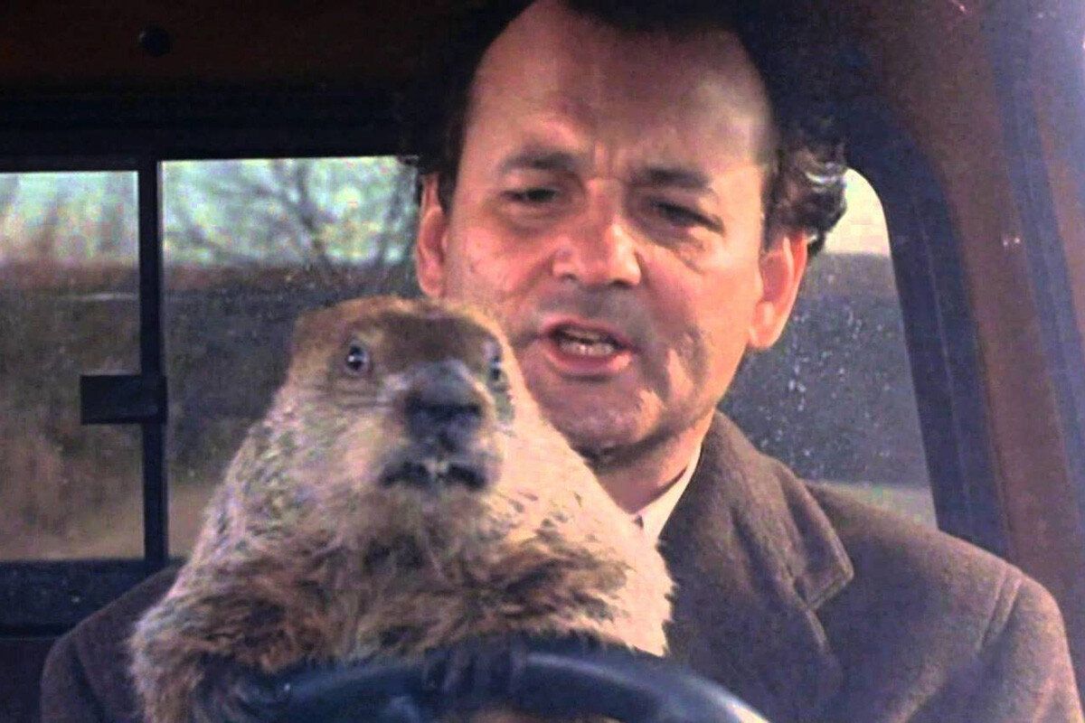 184_GroundhogDay-1030270363.jpg