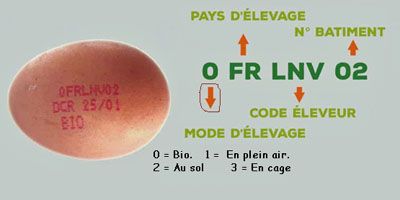 oeuf code bio.jpg