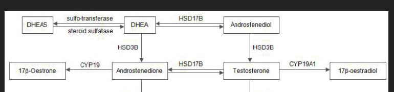 ec218b21-3ce4-4a87-9ab6-dfc99edd78ca-image.png