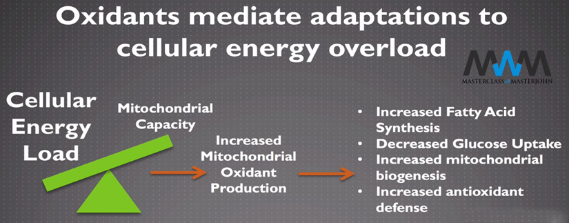 Figure 3. cellular energy overload induces ROS.png