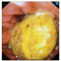 8e3275d1-bf2b-4741-b064-61a37927c3a5-image.png