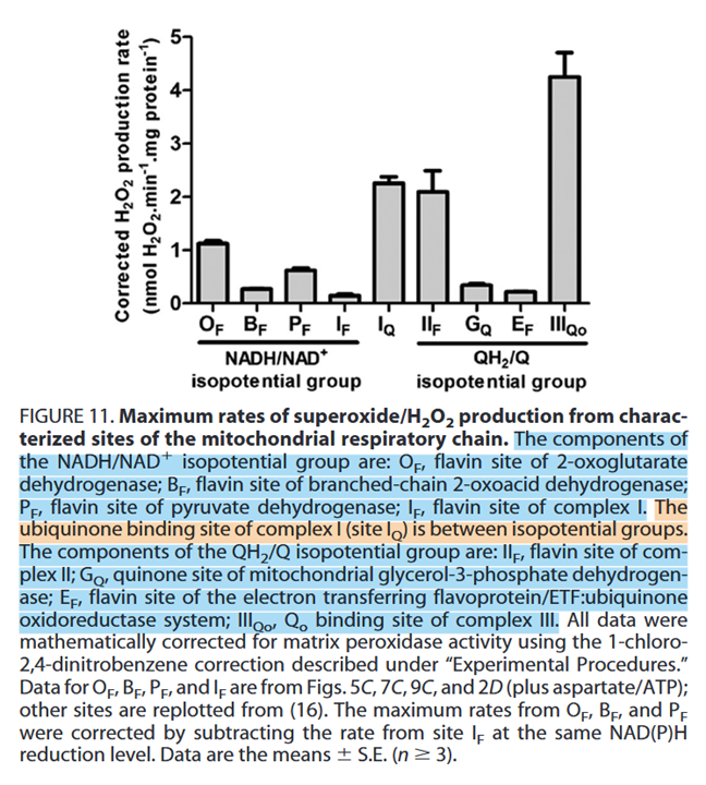 c5f2eae6-f82e-42eb-910a-9d9bd0430f30-image.png