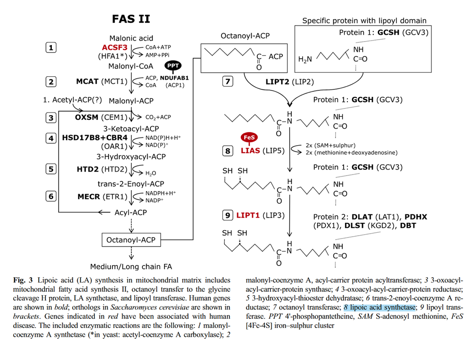 e73b49ef-7d10-4ab6-96bb-036867cd10bb-image.png