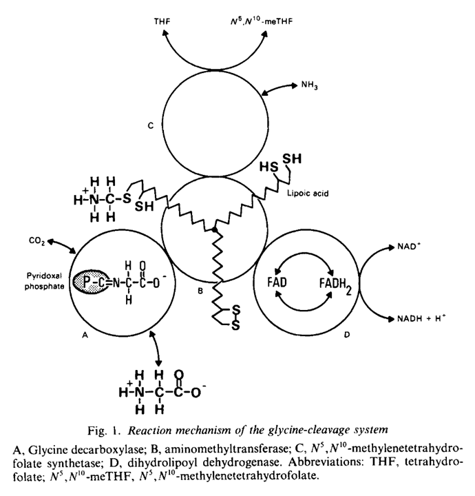 0569c1af-eb18-4271-8b86-c917fe6bf327-image.png