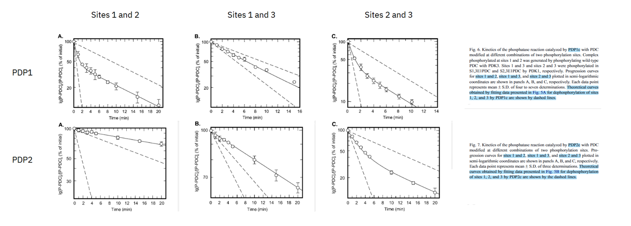 537eca19-d32d-4978-8727-19b6cf513bff-image.png