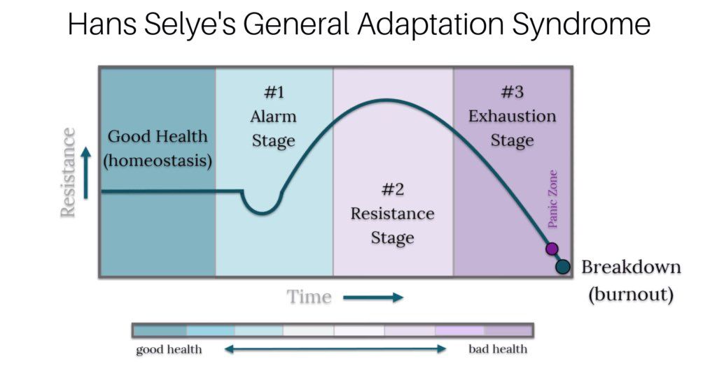 General-Adaptation-Syndrome.JPG