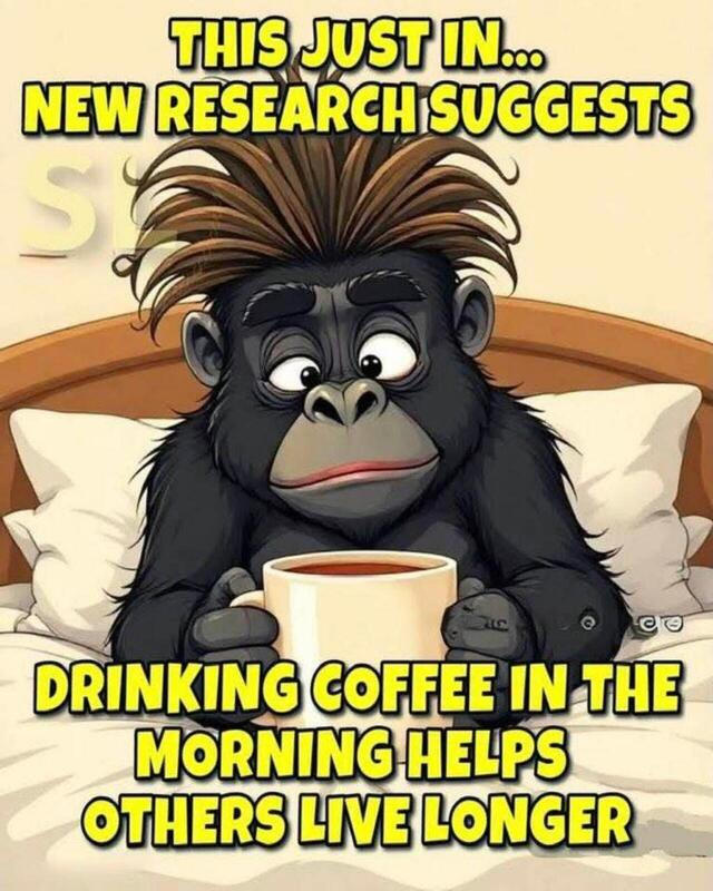 c2e27626-fa5a-4ca7-b37c-2d66250d93bc-image.png