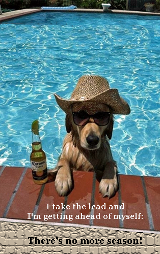 chien piscine chaud hot 2.png
