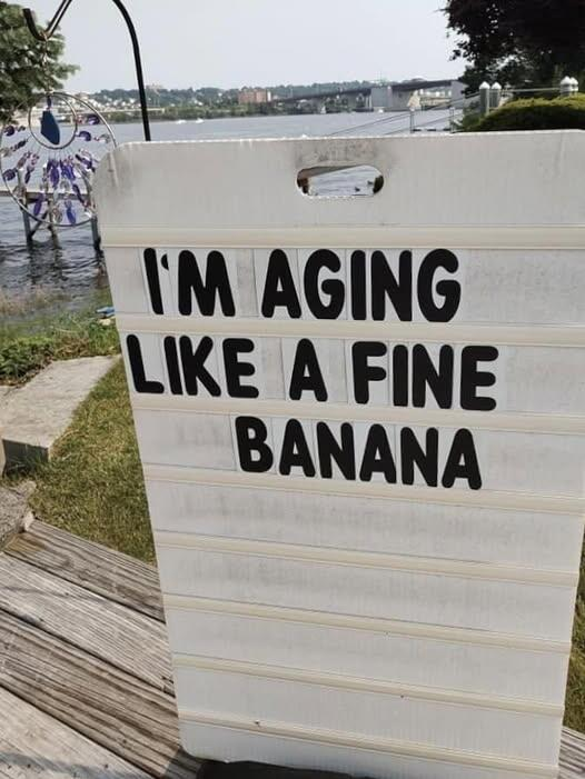 c8a2318f-92b8-4210-b6e0-482bf7358560-image.png