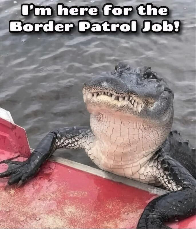 853a065a-07dc-4c86-b07d-8c6594d79b08-image.png