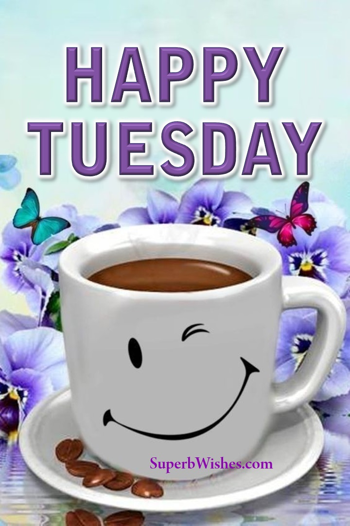 5a754212-3e7b-4021-adf0-6a598a5c29ab-image.png
