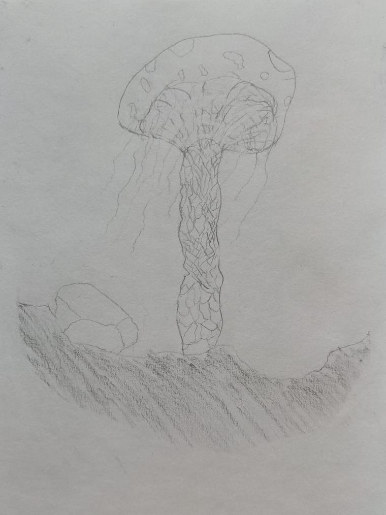 Mushroom.jpg