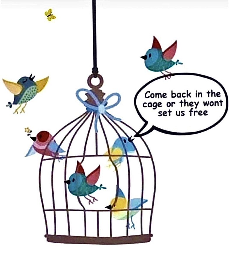 b49cc0f4-911d-4ec9-82e4-bb3a6c29c009-image.png