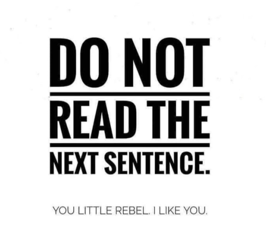 8737bb63-47d0-4e8d-a4ef-f01be5bc0ca6-image.png