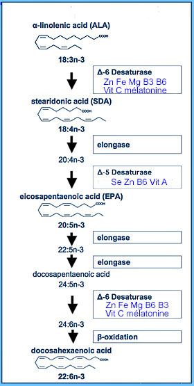 enzyms nutrients for D5D and  D6D with w3  280x555.jpg