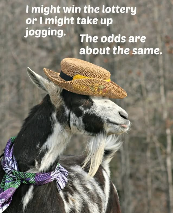 f881da43-da5f-4931-930e-97938bfcefad-image.png