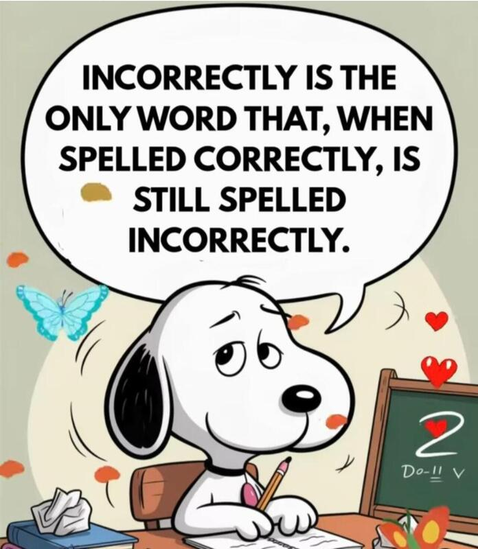 fbbcd3b3-ea16-4906-a985-a84cf4aa1ff3-image.png