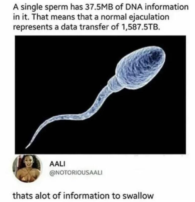 4823a01c-e494-4d2a-b609-6b2cab1ca9b2-image.png