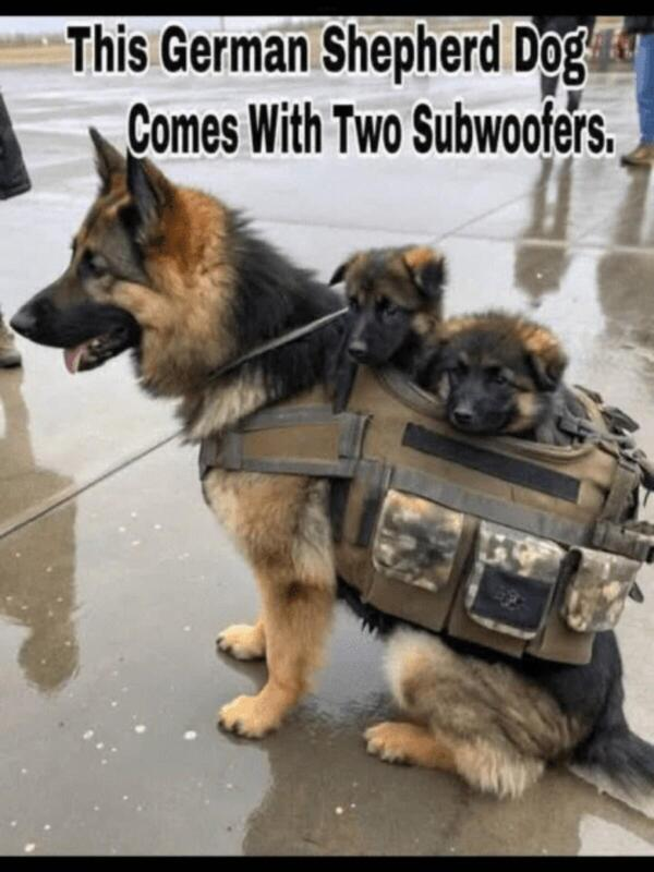 7a1c4fb3-5796-4d1a-bc41-4fc780013770-image.png