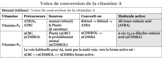 Fig 2. Tableau conversion vit A.png