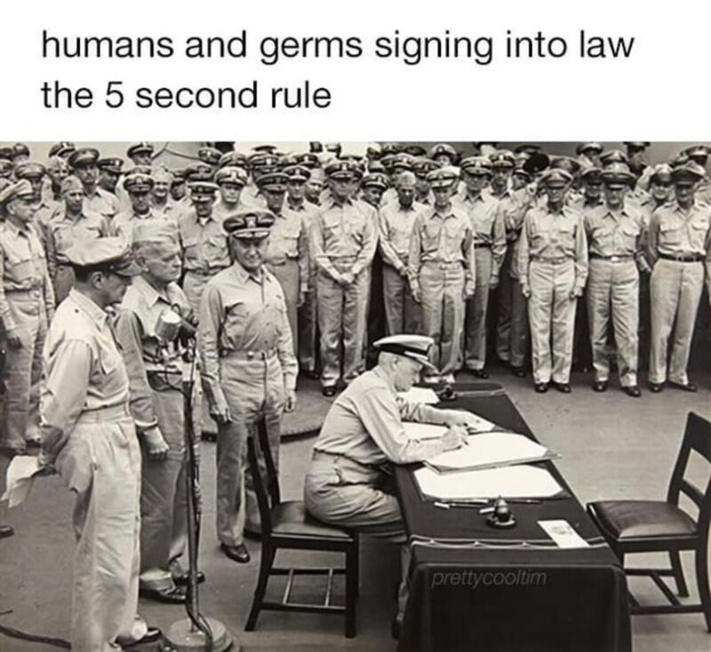 caac4500-40b0-4f37-8029-806916a9e547-image.png
