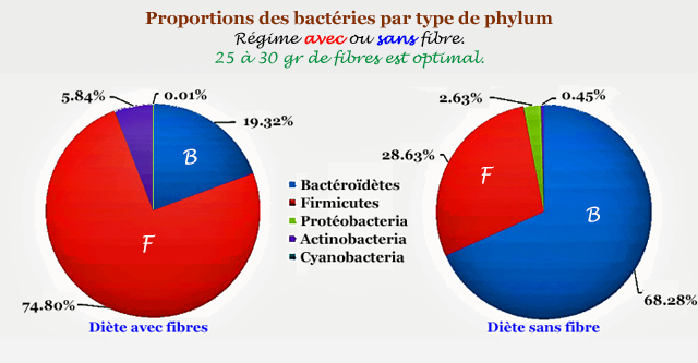 Proportions of bacteria.png