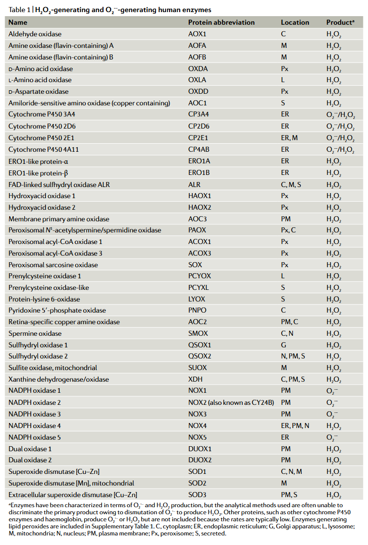 da7b76ab-128b-4dfb-8524-02fee5516ac3-image.png